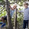 To børn leger i træer