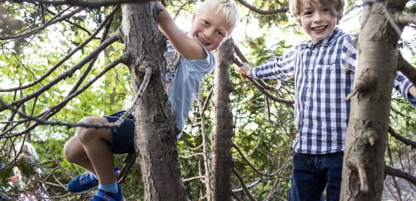 To børn leger i træer