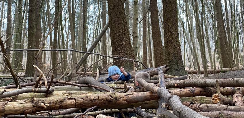 Børnehavebørn gemmer sig mellem træstammer
